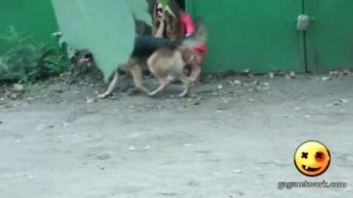 Прикол с зассанкой на улице