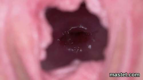 ПИЗДА ВНУТРИ: камера внутри вагины видео без фото